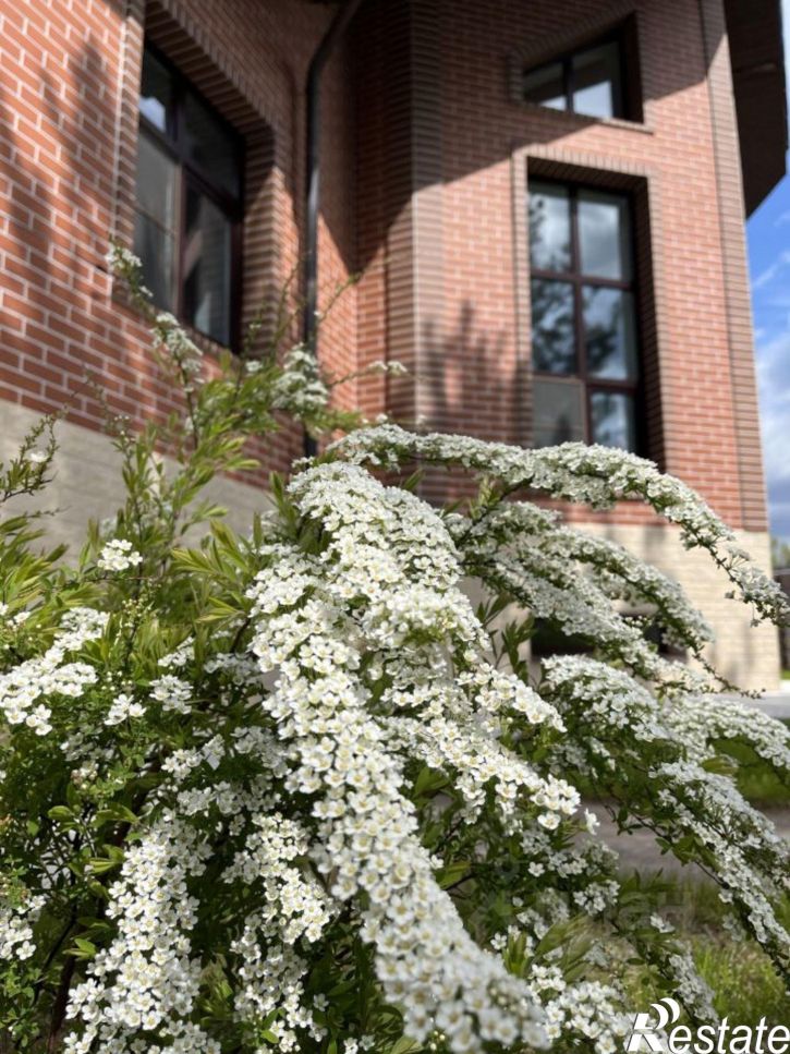 Коттедж/дом