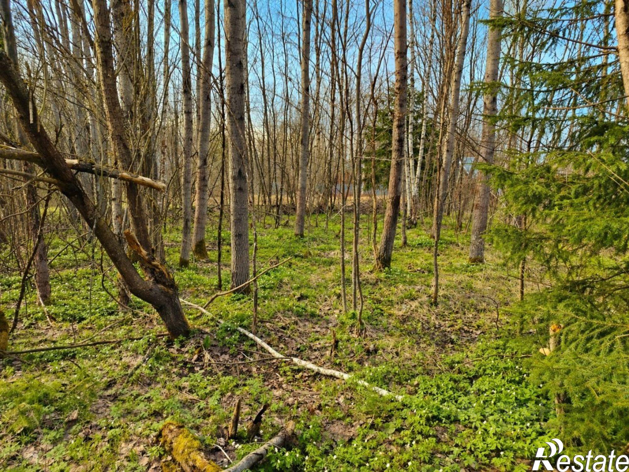 Купить дачу, дом, коттедж за 660 000 рублей