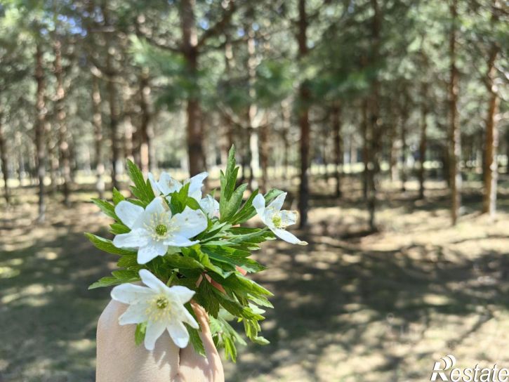 Земельный участок Кимры &mdash; Каюрово &mdash; Селищи
