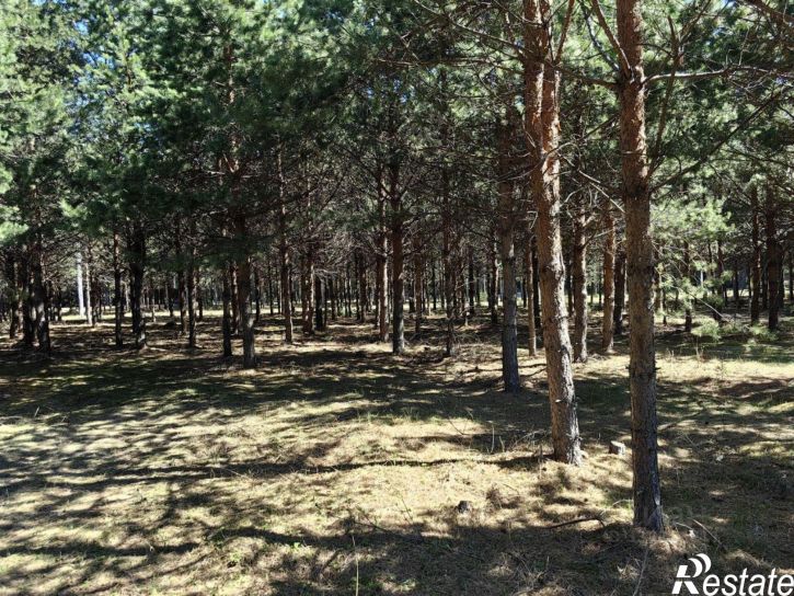 Земельный участок Кимры &mdash; Каюрово &mdash; Селищи
