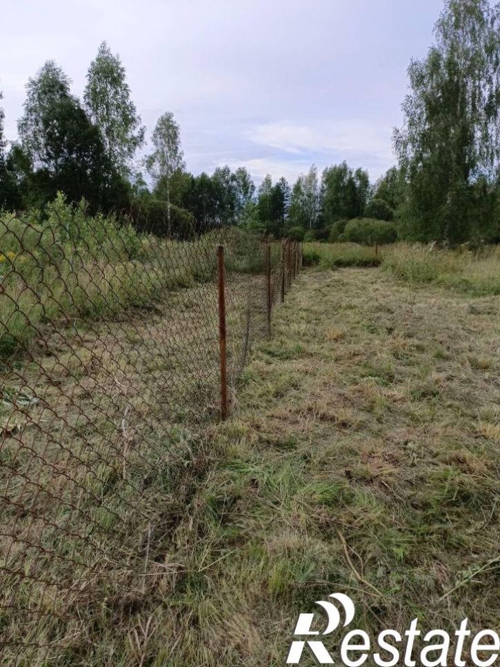 Коттедж/дом